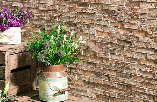 exterior plantas